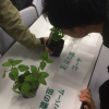 生活科 植物の栽培
